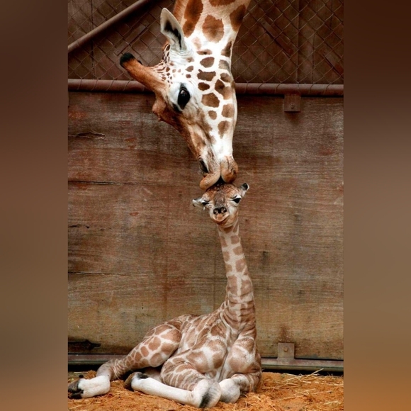 Away for family medical.. - Picture 2 of 15